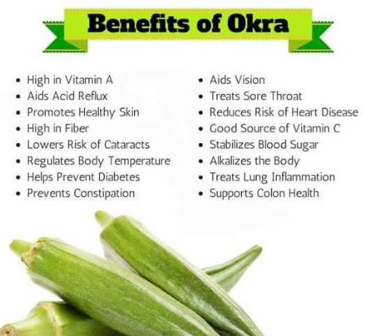 okra powder benefits-3