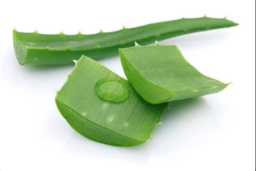 Aloe Vera Gel Powder-1 Aloe Vera Gel Powder-1