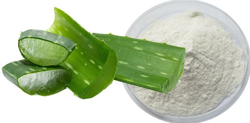 Aloe Vera Leaf Powder-1 Aloe Vera Leaf Powder-1