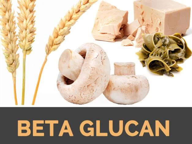 Oat Beta Glucan Benefits