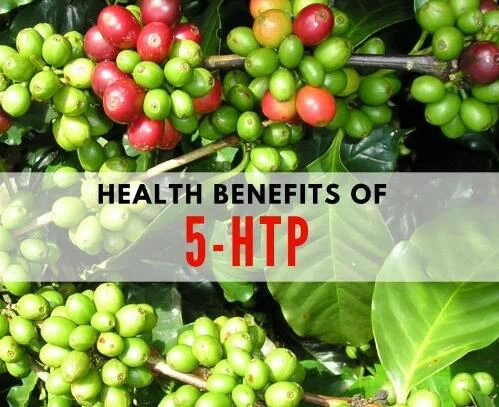 5htp benefits
