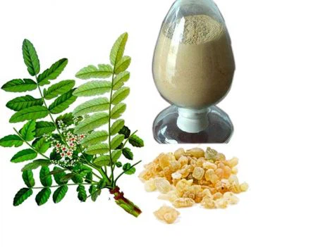 Ekstrakt boswellia