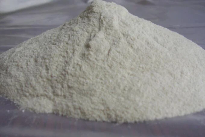Chondrus Crispus (Carrageenan) Ekstrakt