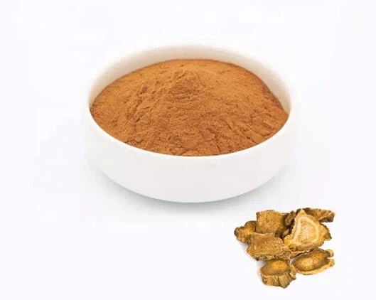 Kitajska rabarbara v prahu