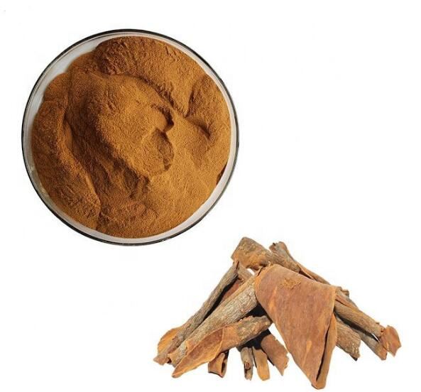 Cinchona Bark v prahu