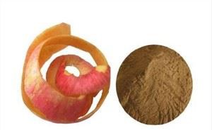 Posušene jabolčne lupine v prahu