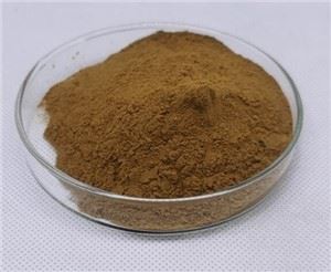 Korenina orrisa v prahu