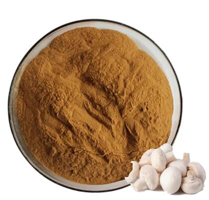 Izvleček sadja Agaricus Bisporus
