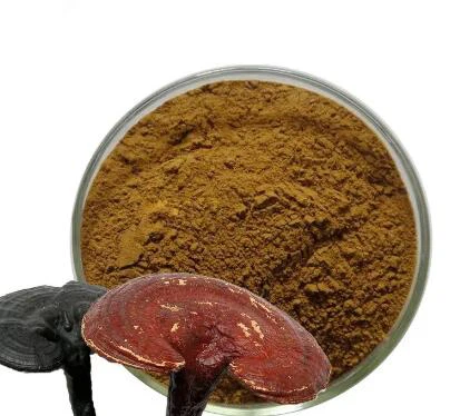 Beta glukan Reishi